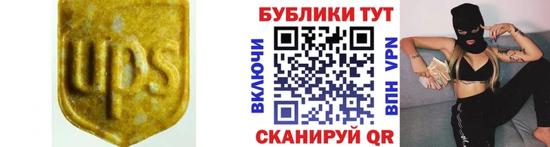 Ecstasy Cube Каменногорск