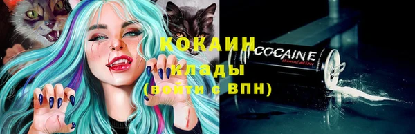 дживик Лагань