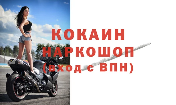 эйфоретик Кукмор