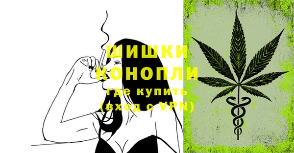 эйфоретик Кукмор