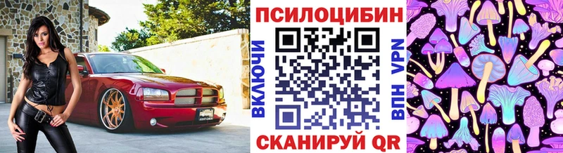 Псилоцибиновые грибы мицелий где купить наркотик Каменногорск